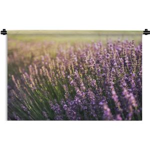 Wandkleed Lavendel  - Lavendel in een veld Wandkleed katoen 90x60 cm - Wandtapijt met foto