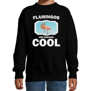 Dieren flamingo vogels sweater zwart kinderen - flamingos are serious cool trui jongens/ meisjes - cadeau flamingo/ flamingo vogels liefhebber - kinderkleding / kleding 134/146