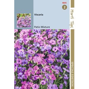 5 stuks - Hortitops - HTS Viscaria Patio Mixture
