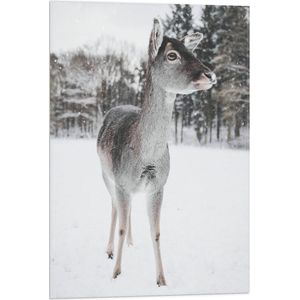 WallClassics - Vlag - Hertje in de Winter - 50x75 cm Foto op Polyester Vlag