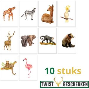 Wenskaarten set tropische dieren - wenskaarten dieren - wenskaarten blanco - wenskaarten - 10 stuks