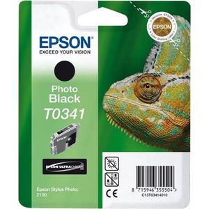 Epson Fotocartridge T034140 zwart