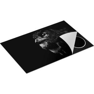 Chefcare Inductie Beschermer Zwarte Uil met Gouden Ogen - Zwart Wit - 81,6x52,7 cm - Afdekplaat Inductie - Kookplaat Beschermer - Inductie Mat