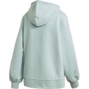 adidas Originals Hoodie Sweatshirt Vrouwen Groene DE36/FR38