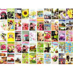 50 Luxe wenskaarten - Assortie - Felicitatie / Dieren / bloemen - 11x16cm - gevouwen kaart met envelop