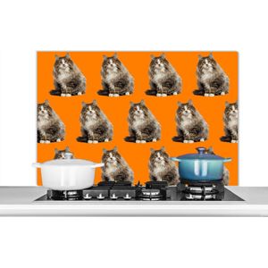 Spatscherm keuken 100x65 cm - Kookplaat achterwand Huisdier - Patroon - Oranje - Muurbeschermer - Spatwand fornuis - Hoogwaardig aluminium