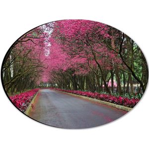 WallClassics - Dibond Ovaal - Roze Bomen over de Weg - 28x21 cm Foto op Ovaal (Met Ophangsysteem)