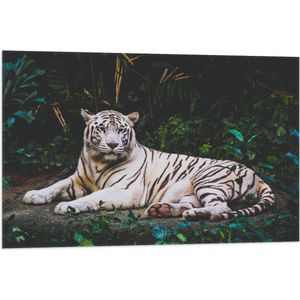 WallClassics - Vlag - Witte Tijger in de Jungle - 90x60 cm Foto op Polyester Vlag