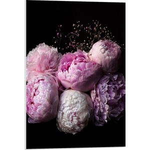 WallClassics - PVC Schuimplaat- Roze/Paarse Bloemen tegen Zwarte Achtergrond - 50x75 cm Foto op PVC Schuimplaat