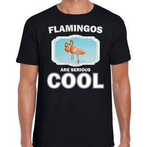 Dieren flamingo vogels t-shirt zwart heren - flamingos are serious cool shirt - cadeau t-shirt flamingo/ flamingo vogels liefhebber S