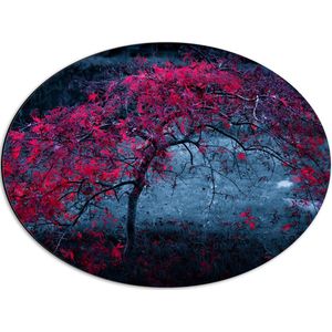 WallClassics - Dibond Ovaal - Boom met Rode Bladeren - 56x42 cm Foto op Ovaal (Met Ophangsysteem)