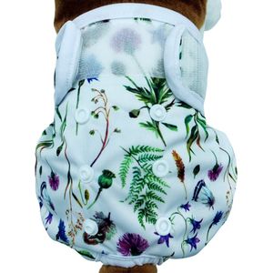 Sharon B Loopsheidbroekje hond - Wildflower - Maat XXL - Wasbaar - Heupomvang 69-80 cm