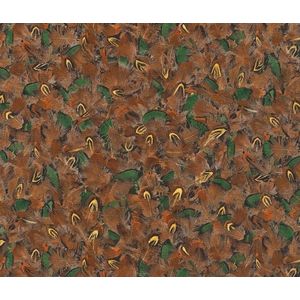 Fazanten veren behang vogel rasch 514728