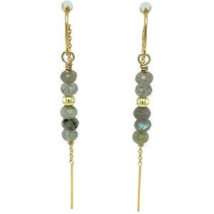 Pat's Jewels Oorbellen Dames - Doortrekoorbellen - Labradoriet - Minimalistische Oorbellen - Oorketting - Edelsteen hanger - Gold Filled