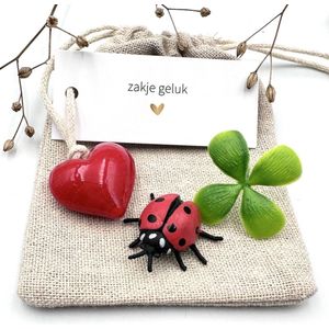 Zakje Geluk Klavertje 4 -geluksbrenger-cadeau-lieveheersbeestje-geschenk-voor man/vrouw-reis-nieuw huis-gift