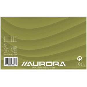 Aurora - MAXI PACK - 10 x Systeemkaarten: Formaat 200x125mm - Geruit (5x5mm) - 192 Bladzijden - 190gr Karton - Per 100 vel ingepakt.