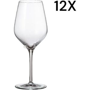 Luxe Wijnglazen - 12 Stuks - 40.8cl - Glas - Wijn - Hoogwaardige Kwaliteit - Elegante Afmetingen - Witte wijn - Rode Wijn