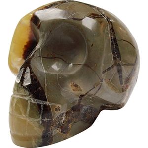 Septarie schedel 14 cm