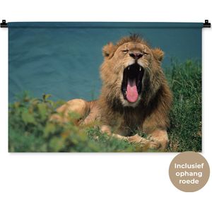 Wandkleed Leeuwen - Gapende leeuw Wandkleed katoen 90x60 cm - Wandtapijt met foto