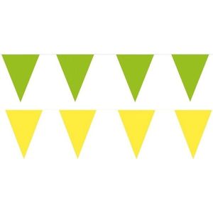 Gele/Groene feest punt vlaggetjes pakket - 80 meter - slingers / vlaggenlijn