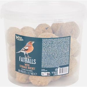 30 Vetbollen in emmer - 2,7kg - Vogelvoer - Tuinvogels - Vetbollen voor vogels - In opbergemmer - Grootverpakking
