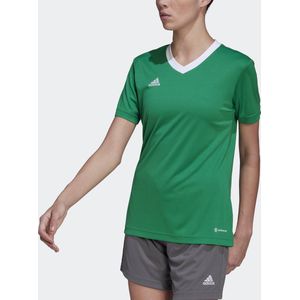 adidas Performance Entrada 22 Voetbalshirt - Dames - Groen - L