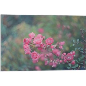 WallClassics - Vlag - Roze Bloementakje - 60x40 cm Foto op Polyester Vlag