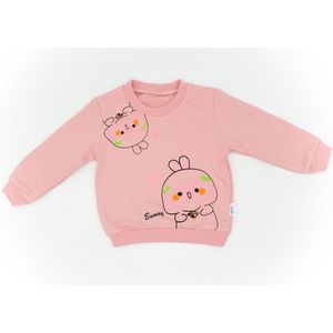 Unisex 2 delige set maat 68 - sweater en broek - kids - kinderen -jongen meisje - kleuren varianten