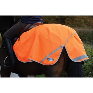 RelaxPets - Weatherbeeta - Hondendeken - Trainingsdeken - Reflecterend - 300 D - Oranje - Medium
