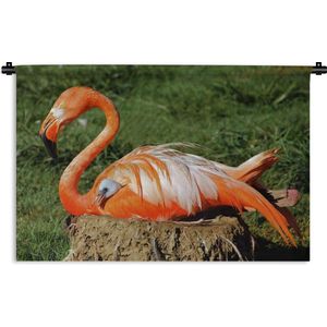 Wandkleed Flamingo  - Flamingo die haar kuiken onder haar vleugel beschermd Wandkleed katoen 180x120 cm - Wandtapijt met foto XXL / Groot formaat!