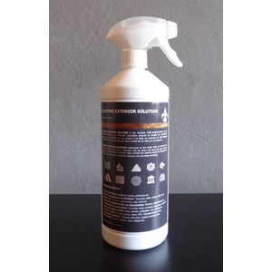 Exterior Solution 1 liter Sprayer