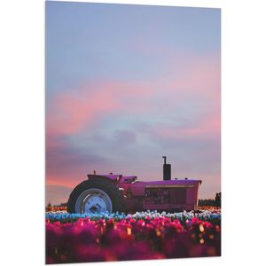 WallClassics - Vlag - Roze Traktor in Felkleurend Bloemenveld - 80x120 cm Foto op Polyester Vlag