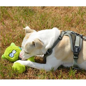 Coockoo - Speelgoed Voor Dieren - Hond - Coockoo Alvin Hondenspeeltje 23x9x9cm Gemengde Kleuren - 1st