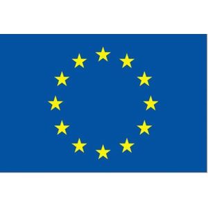 Vlag Europese Unie 50x75cm