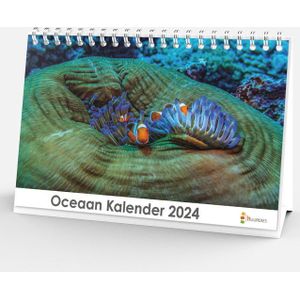 Bureaukalender 2024 - Oceaan - 20x12cm - 300gms