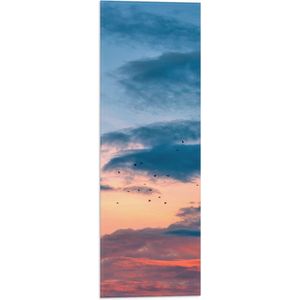 WallClassics - Vlag - Vogels bij Blauwe/ Oranje Wolken - 20x60 cm Foto op Polyester Vlag