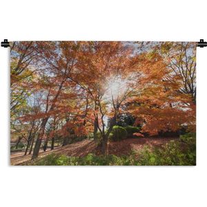Wandkleed Japanse esdoorn - Zonlicht door een Japanse esdoorn in het park Wandkleed katoen 90x60 cm - Wandtapijt met foto