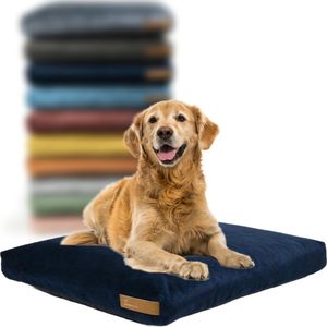 Rexproduct Hondenkussen - Hondenmand - Hondenbed met rits en wasbaar - Hondenkussens 60 X 50 CM - Manden & kussens 0 tot 80 kg - SoftPet Navy blauw