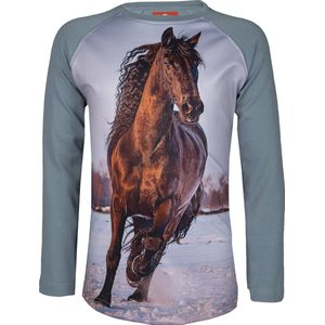 Red Horse - T-shirt PIXEL - Grijs - Paard print - Maat 128