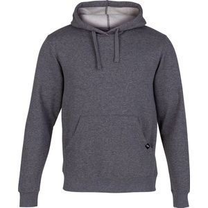 Joma Montana Hoodie 102108-280, Mannen, Grijs, Sweatshirt, maat: XXL