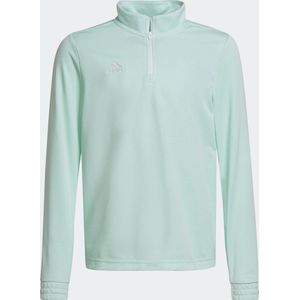 adidas Performance Entrada 22 Trainingsshirt - Kinderen - Turquoise - 128