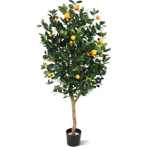 Sinaasappelboom Deluxe 150cm