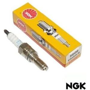 Bougie Ngk (ER8EH-N) baotian tiger 4t 4v / baotian classico 4t motor / honda zoomer / yamaha neos 4t injectie
