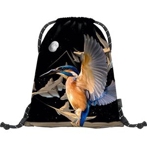 Baagl Gymtas IJsvogel