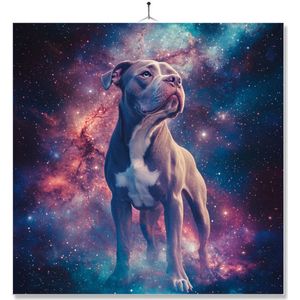 Tegel Met Opdruk | Galaxy | Pitbull
