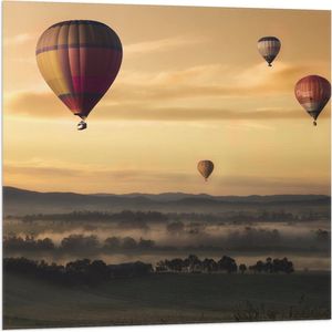 WallClassics - Vlag - Luchtballonen Zwevend boven Open Veld - 80x80 cm Foto op Polyester Vlag