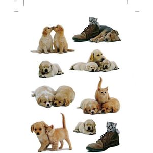 81x Honden/puppy dieren stickers met katten/poezen - kinderstickers - stickervellen - knutselspullen
