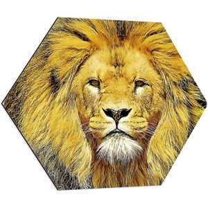 WallClassics - Dibond Hexagon - Bruin Gele Leeuw - 80x69.6 cm Foto op Hexagon (Met Ophangsysteem)