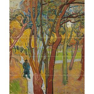 IXXI Tuin van de inrichting Saint-Paul (het vallen van de bladeren), Vincent van Gogh & Van Gogh Museum - 80 x 100 cm - Gratis ophangtool - Grote
