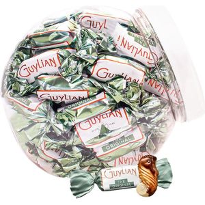 Guylian Temptations Original Seahorses - melkchocolade met praliné - 540g